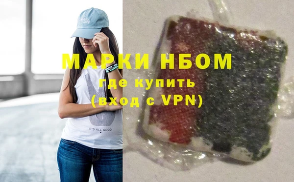 мдпв Туринск